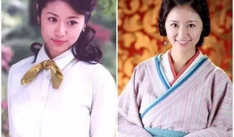 林心如 电视剧,演绎经典电视剧，塑造不朽角色