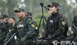 利刃出击电视剧,铁血精英的生死较量