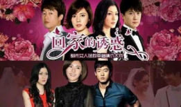 复仇电视剧,爱恨交织的复仇传奇