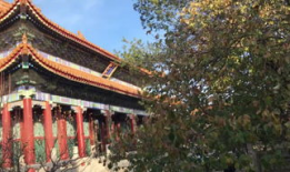 颐和园 电视剧,皇家园林的传奇岁月