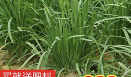 网爆吃瓜爆料图片大全高清,高清图片大全揭秘娱乐圈幕后真相